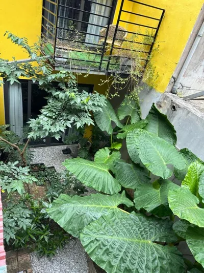 ỐC Homestay Cat Ba – Foto 11